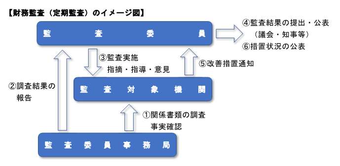財務監査(定期監査)イメージ図
