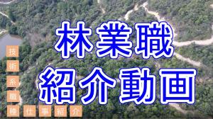 林業職