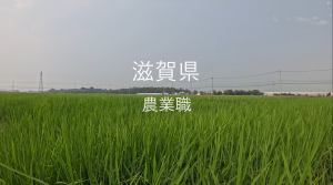 農業職