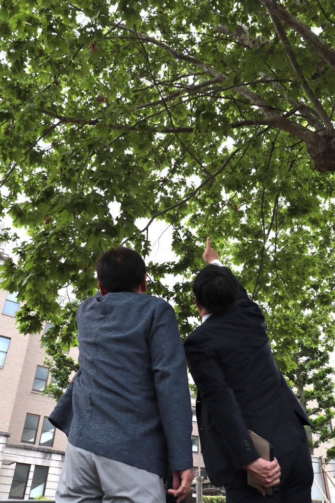場所を指し示してくれている県議会議員