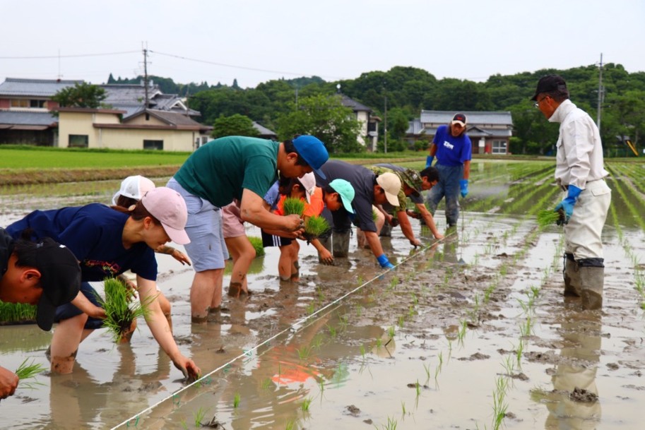 田植えの様子2