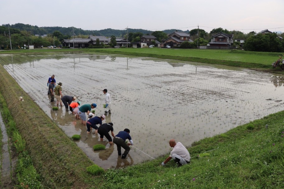田植えの様子3