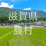 しがのふるさと応援隊