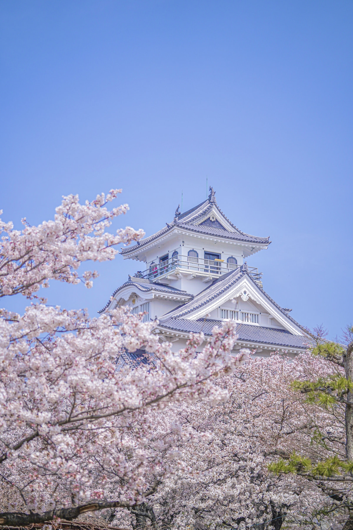 長浜城(長浜城歴史博物館)の詳細を表示