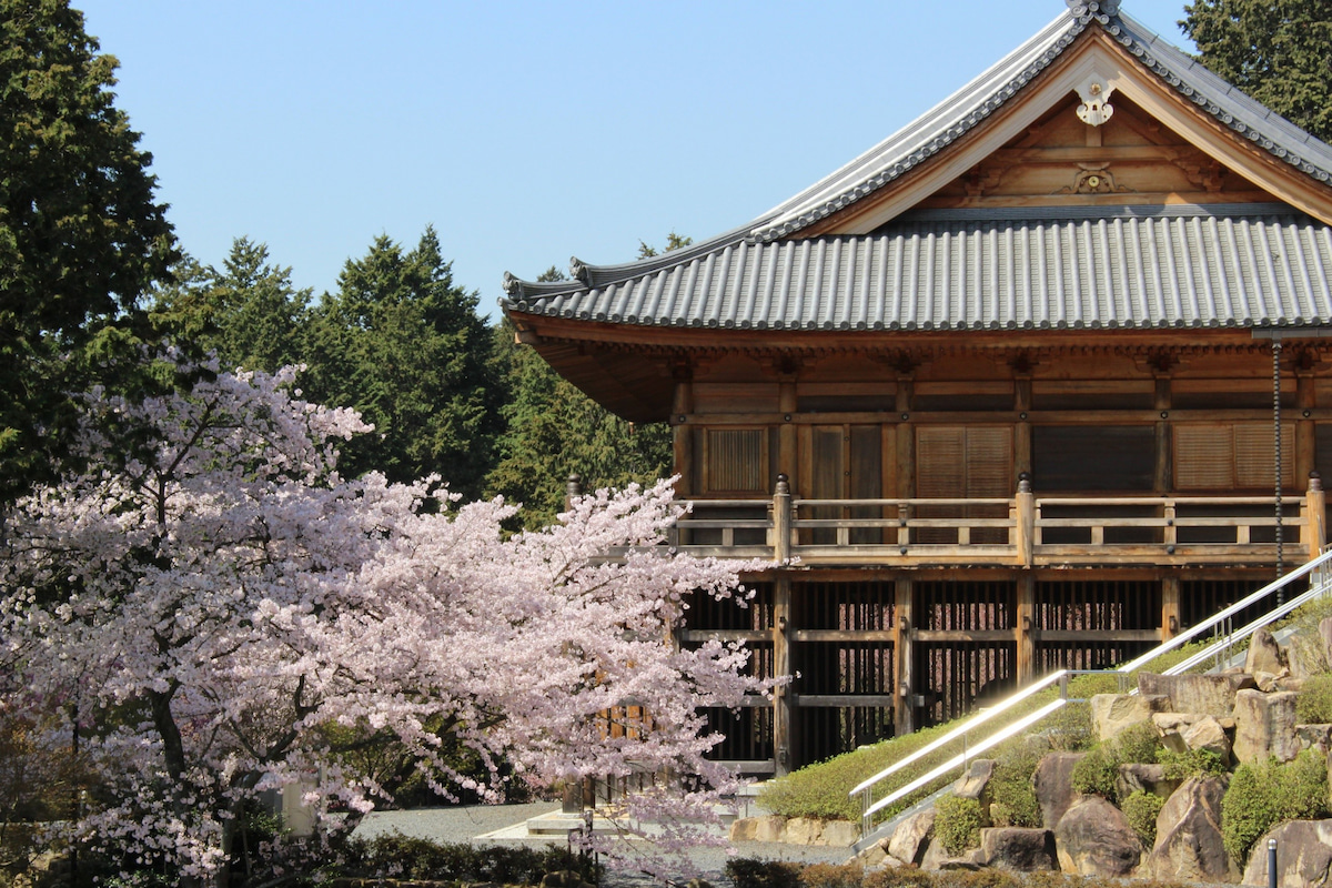 石山寺の詳細を表示