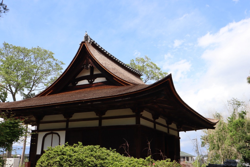 芦浦観音寺の詳細を表示