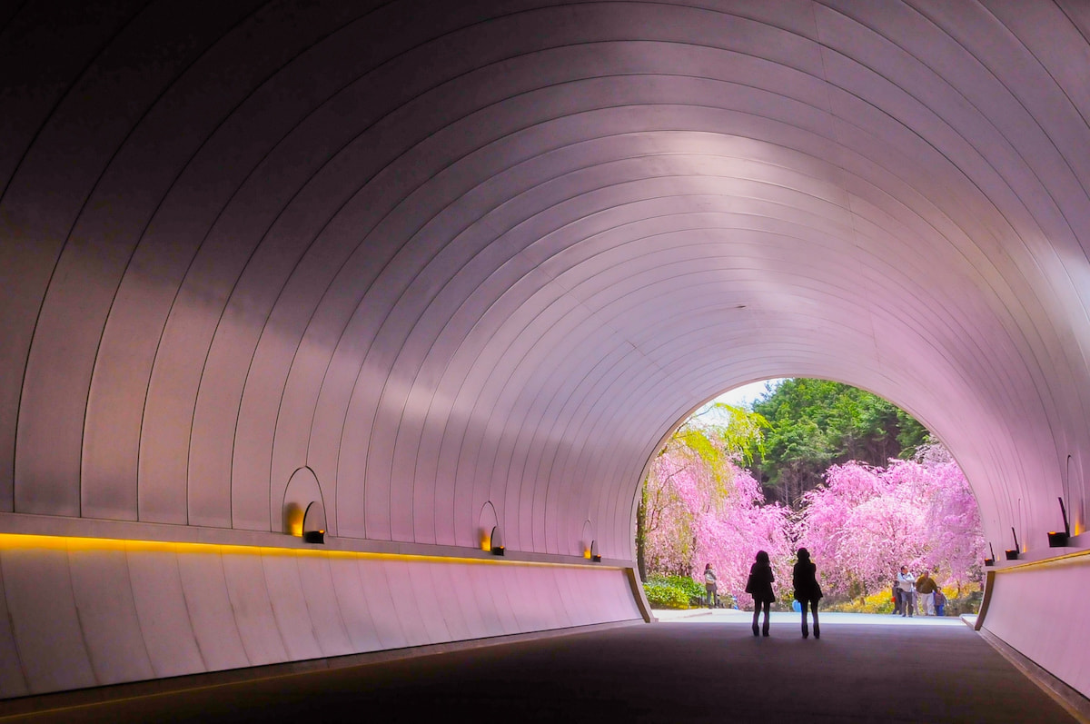 MIHO MUSEUMの詳細を表示