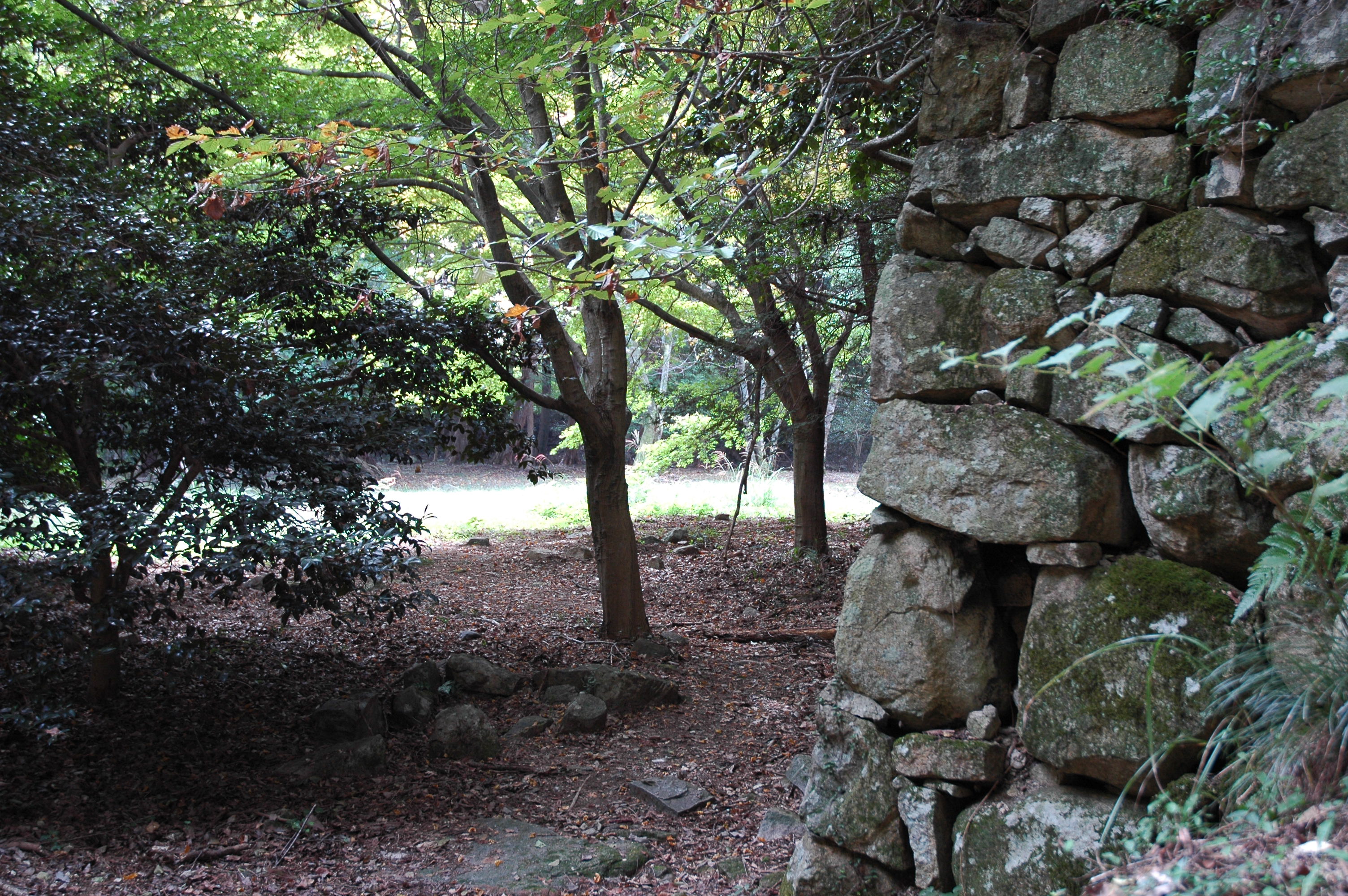 観音寺城の詳細を表示