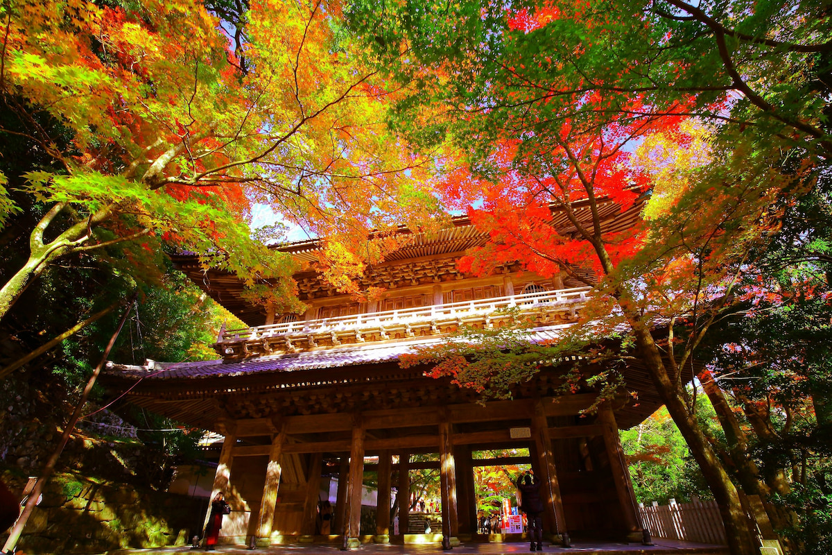 永源寺の詳細を表示