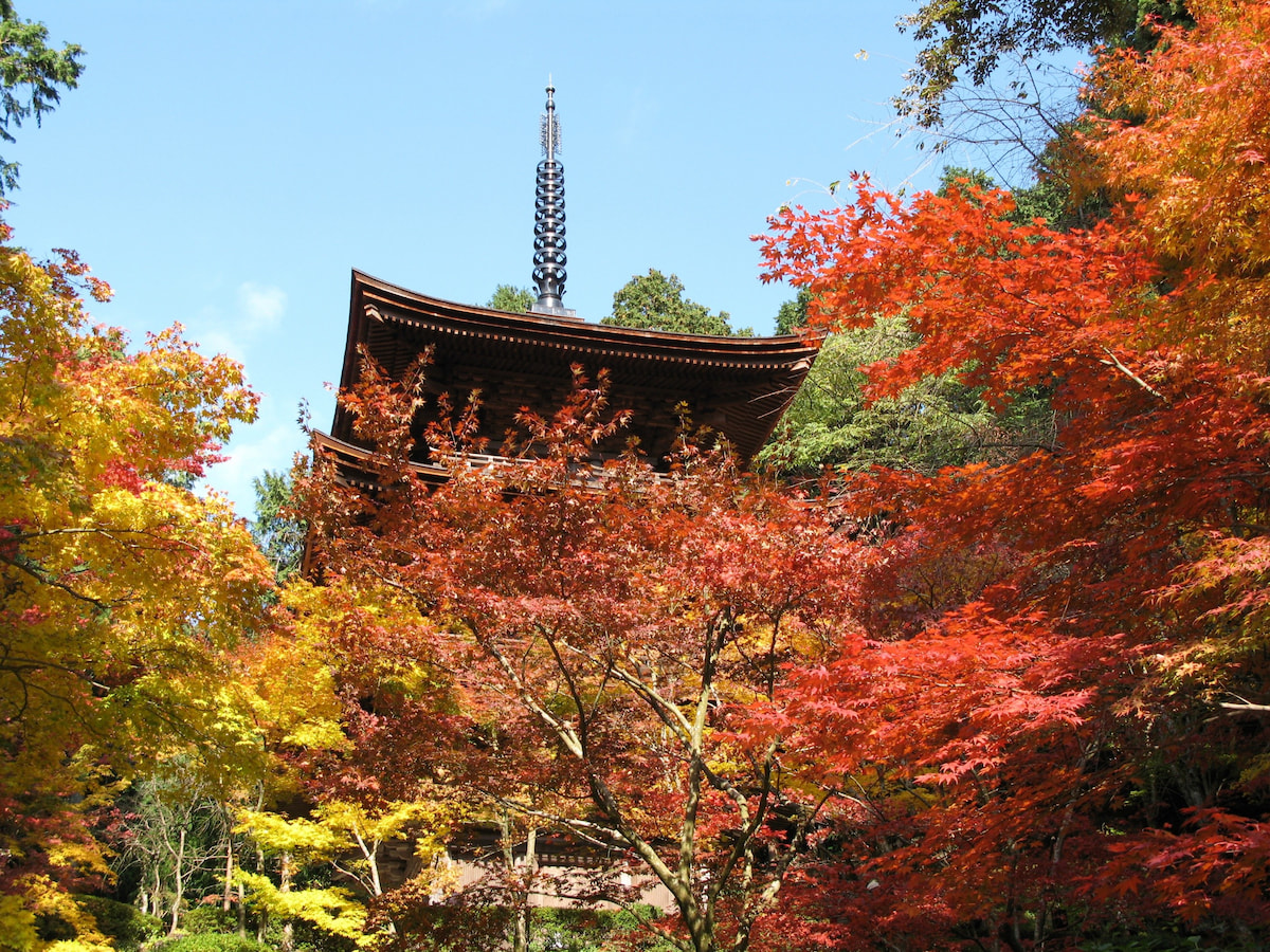 金剛輪寺の詳細を表示
